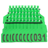 APlayfulBee Z Tags close-up of green cattle ear tag, showcasing durable construction.