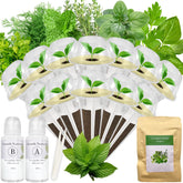 Apoloseedic Basil seed pod kit for hydroponics—fresh basil for quick meals.