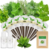 Apoloseedic Gourmet Herb Seed Pod Kit contents laid out for quick hydroponic setup.