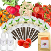 Apoloseedic red strawberry seed pod kit ready for hydroponics with quick harvest potential.
