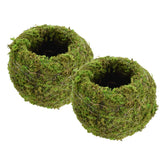 Arcadia KO01-2 Kokedama sphere with wire frame, a durable indoor decor centerpiece.
