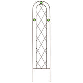 Arcadia TR01 arched trellis in black supports climbing plants beautifully