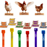 ARMLCL Vibrant 120Pcs chicken leg bands color set for quick flock color-coding and identification.