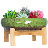 ARTKETTY succulent planter with wood stand for stylish indoor display