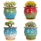 ARTKETTY succulent pots with drainage trays keeping windowsills tidy.