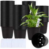 Augshy 110-pcs 6-inch nursery pots ready for seed starting and easy transplanting.