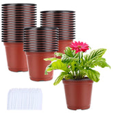 Augshy 4-inch nursery pot with brick-red exterior, ideal for seedling starts indoors.