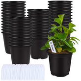 Augshy 75-pack 6-inch nursery pots for seed starting and transplanting.