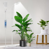 Aumtrly floor grow light on adjustable stand highlights versatile positioning for tall houseplants.