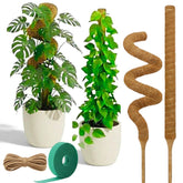 Auraville 28-inch bendable moss pole supporting a Monstera climber for healthy growth.