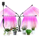 AURAZIGLI 4-head LED grow light illuminating indoor plants for steady growth
