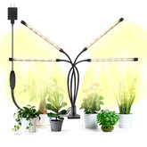 AURAZIGLI LED Grow Light panel over thriving indoor plants for even growth