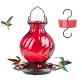 Auslar hummingbird feeder with 26oz glass bottle, clear view for nectar level