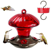 Auslar red mushroom hummingbird feeder attracts visits to the garden.