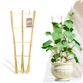 Avalution 10-pack bamboo trellis in 3ft ladder style supports climbing plants indoors.