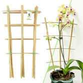 Avalution 16inch bamboo trellis in fan shape supports indoor climbing plants
