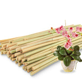 Avalution bamboo stakes 18 inch for durable garden support