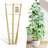 Avalution bamboo trellis 4ft ladder supports climbing vines in a pot