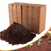 Avalution coconut coir bricks in compact dry form ready to hydrate for versatile growing