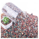 Avalution lava rock 5lb bag improves drainage for succulents and cacti.