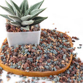 Avalution lava rock mix bag close-up showing drainage-friendly texture for succulents.