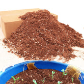 Avalution 9QT Potting Soil Mix for indoor plants promotes healthy root growth.