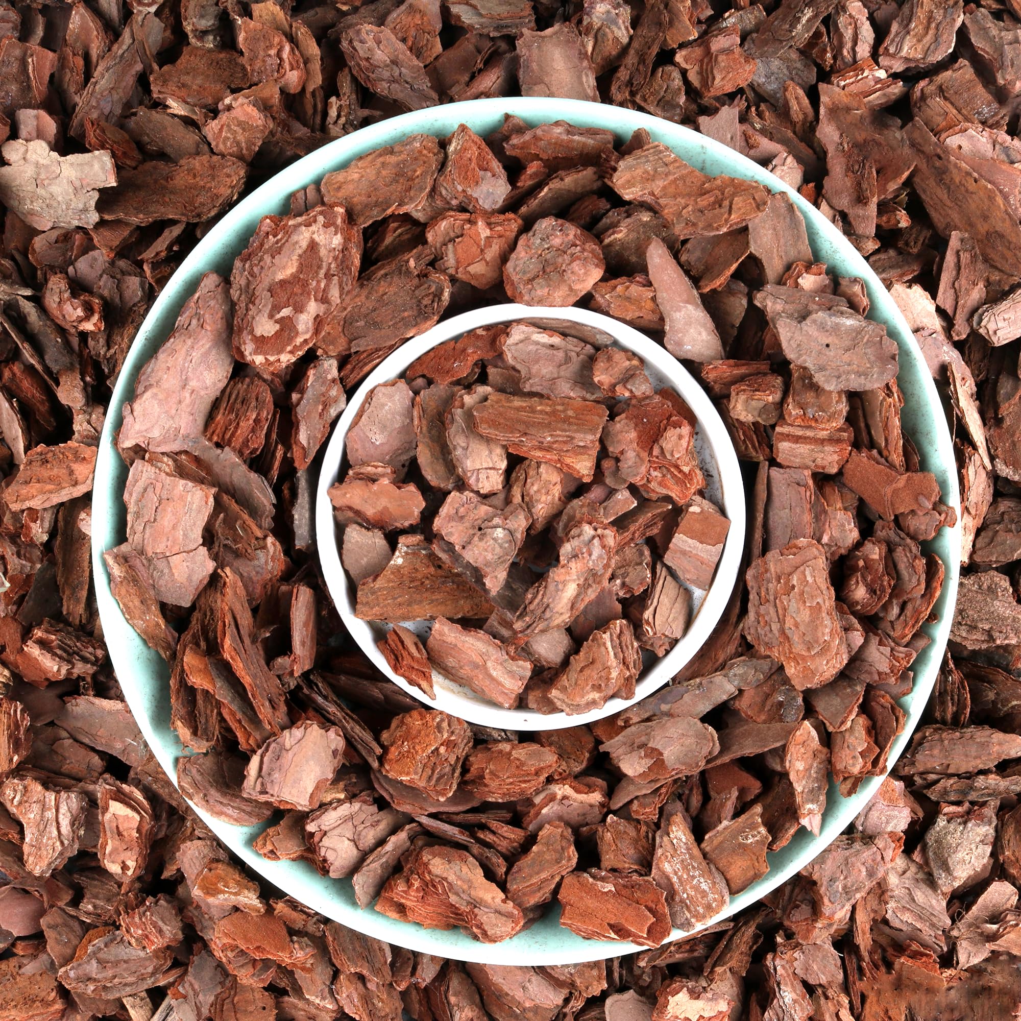 Avalution Orchid Bark premium pine chips for strong root stability.
