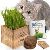 AVERGO cat grass kit contents ready for indoor growing setup.