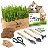 AVERGO cat grass kit planter for tidy indoor growing and pet-friendly greens.