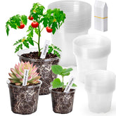 AVOIDSUN clear nursery pot 3-inch shows root visibility for accurate monitoring