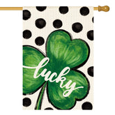 AVOIN colorlife St Patrick's Day flag front view shows durable weather resistant exterior