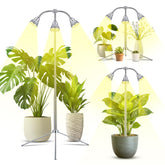 Avolend three-head grow light for even indoor plant growth and healthier foliage.