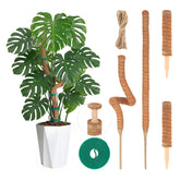 AWIBIKU moss pole 28-inch bendable Monstera support for flexible training.