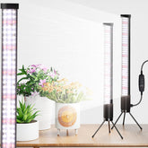 AWLYLNLL grow light vertical stand provides even side illumination for thriving indoor seedlings.