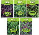 Axel's Garden Seeds Dwarf Siberian Kale seed packet for quick home harvest.
