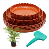 Aynaxcol 12-pack white plant trays in three sizes for versatile drainage.