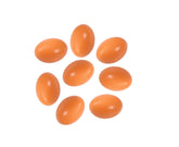 Azatemgo fake wooden eggs offer durable decor for coop displays and Easter setups.