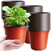 Baaxxango 6-inch plastic nursery pot with top opening for seed starting