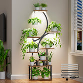 BACEKOLL plant stand with 3-head grow lights promoting healthy indoor growth