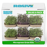 Back to the Roots microgreens kit open box—ready to start a fresh, homegrown harvest.