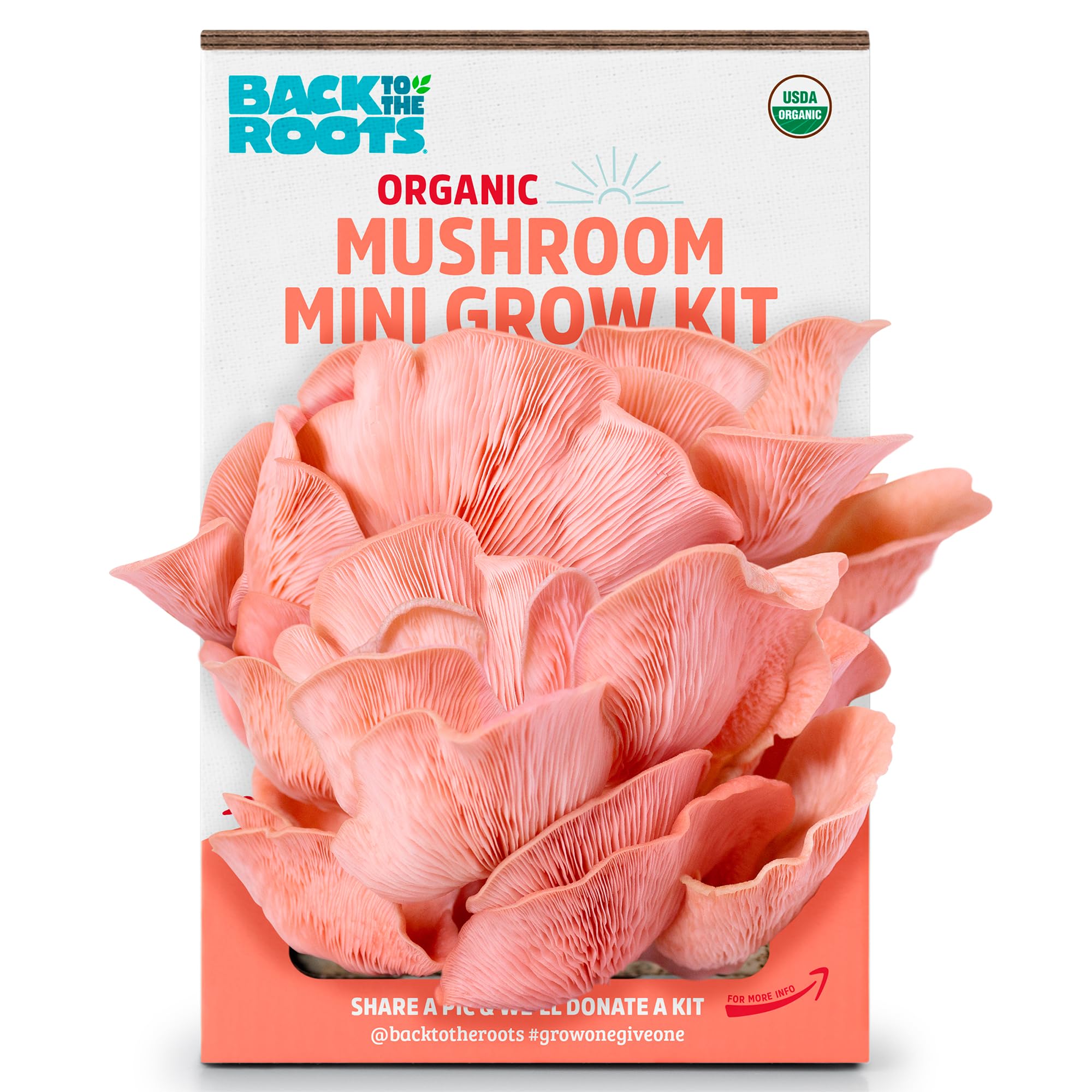 Back to the Roots pink mushroom grow kit open box ready to start growing gourmet mushrooms