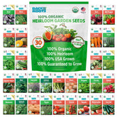Back to the Roots seed bundle packaging for spring planting and easy garden setup.