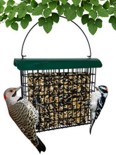 Backyard Essentials suet feeder with metal roof for durable outdoor feeding.