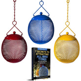 Backyard Expressions set of three bright squirrel-proof feeders attract small birds