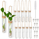 Baderke 12-pack propagation tubes: clear vessels to monitor root growth.