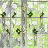 Baderke 9-pack clear window propagation stations with suction cups enable easy indoor propagation and root monitoring.