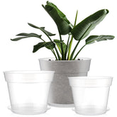 Baderke clear nursery pot 9.25-inch with tray for easy root health monitoring.