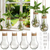 Baderke propagation stations with nine clear tubes for multi-plant propagation in a compact display