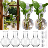 Baderke window propagation stations on display for easy indoor gardening setup