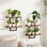 bamworld floating shelves with plants on wall for compact living rooms.